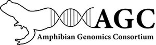 Amphibian Genomics Consortium