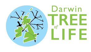 Darwin Tree of Life