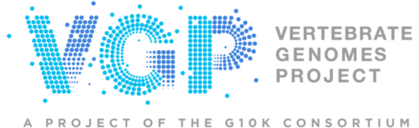 Vertebrate Genomes Project