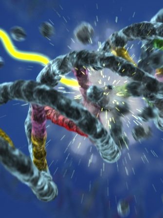 DNA_Damage