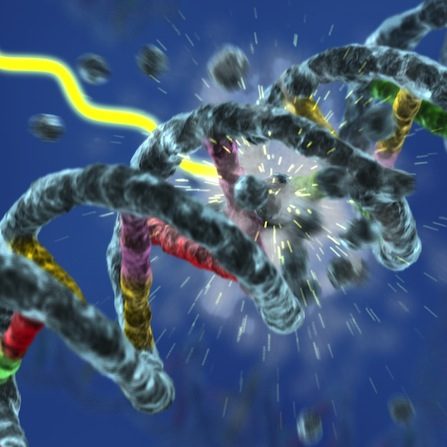 DNA_Damage
