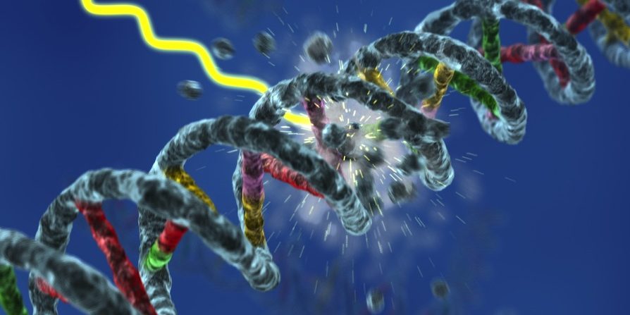 DNA_Damage