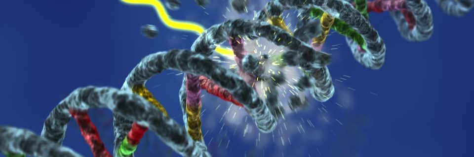 DNA_Damage
