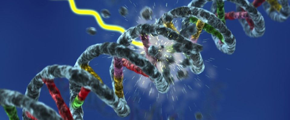DNA_Damage