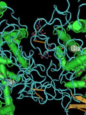 Myeloperoxidase