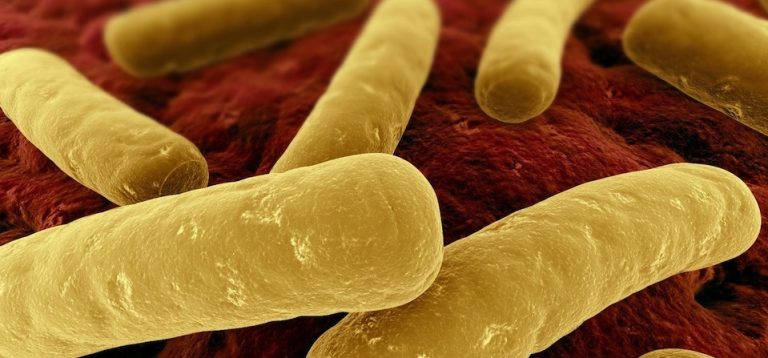clostridium-difficile