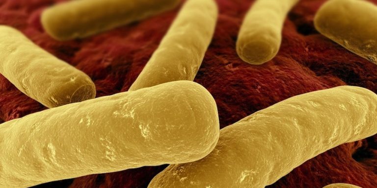 clostridium-difficile