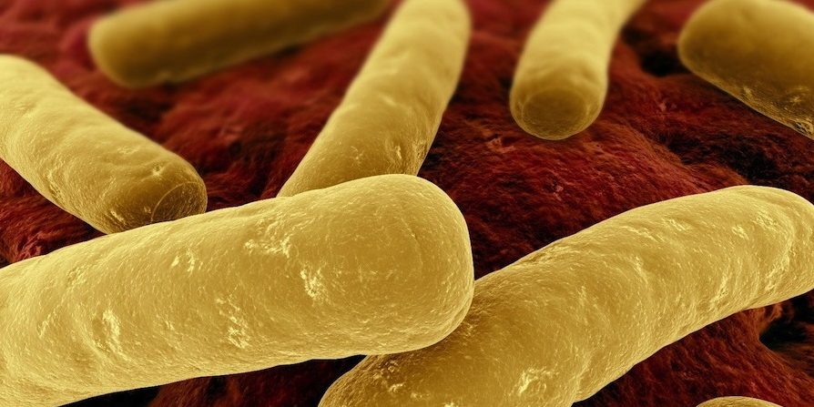 clostridium-difficile