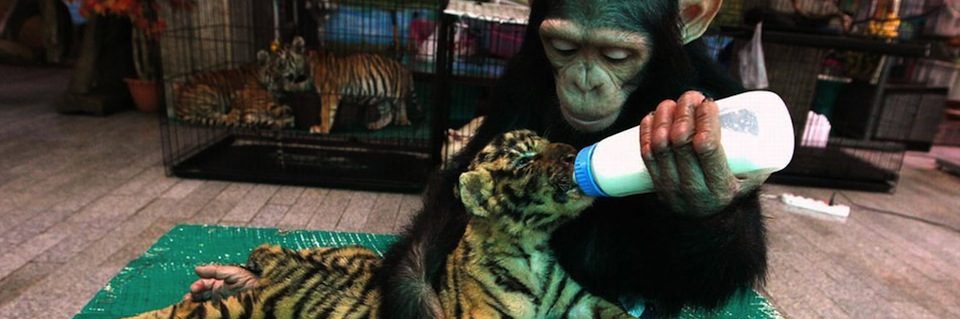 imprinting