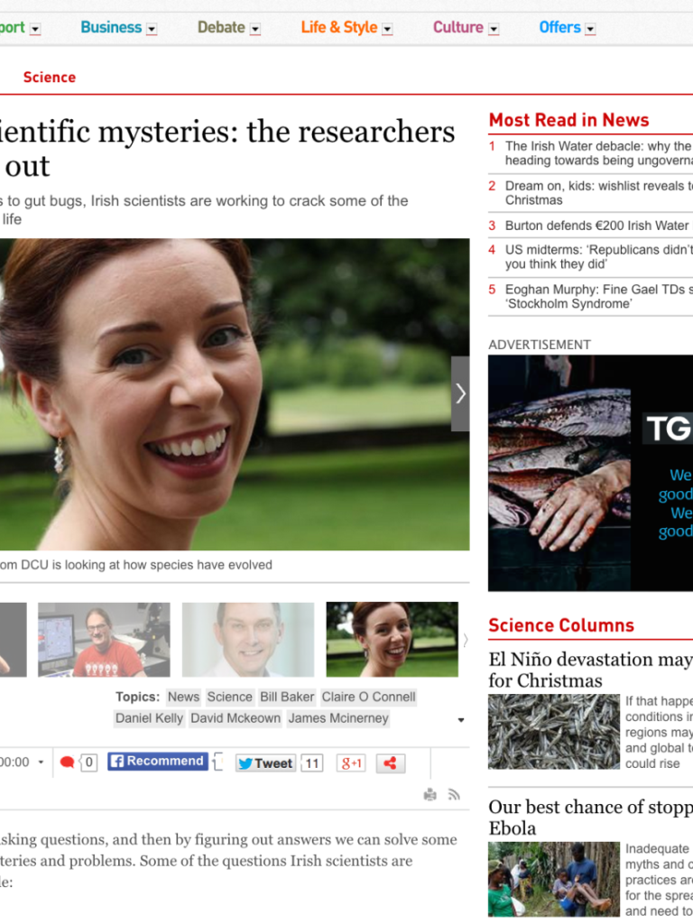 IrishTimes_Mary_Nov2014