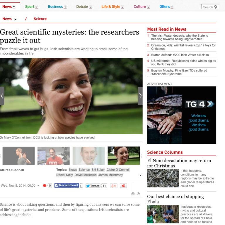 IrishTimes_Mary_Nov2014
