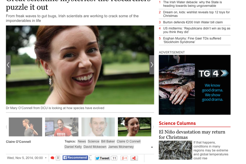 IrishTimes_Mary_Nov2014