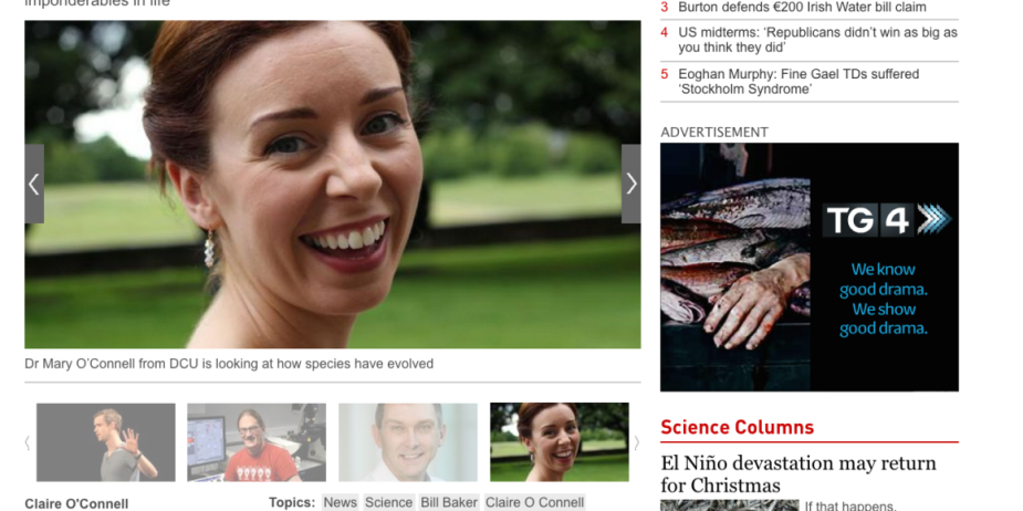 IrishTimes_Mary_Nov2014