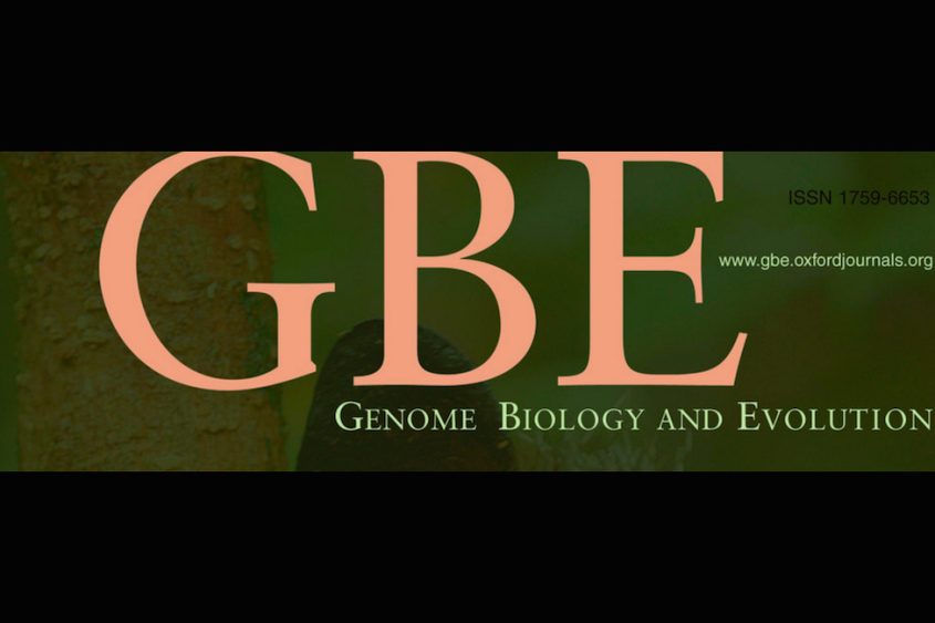 GBE_logoFinal