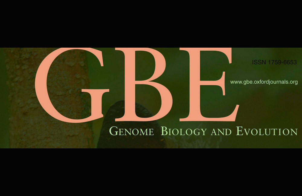 Dr O’Connell becomes Associate Editor for GBE
