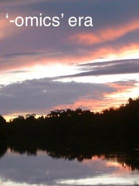 Title_3-980×370