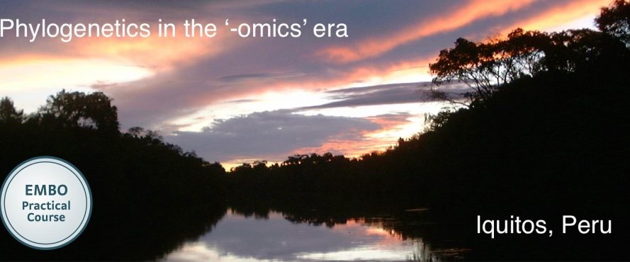Title_3-980×370