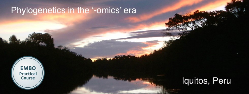 EMBO phylogenomics course in the Amazon