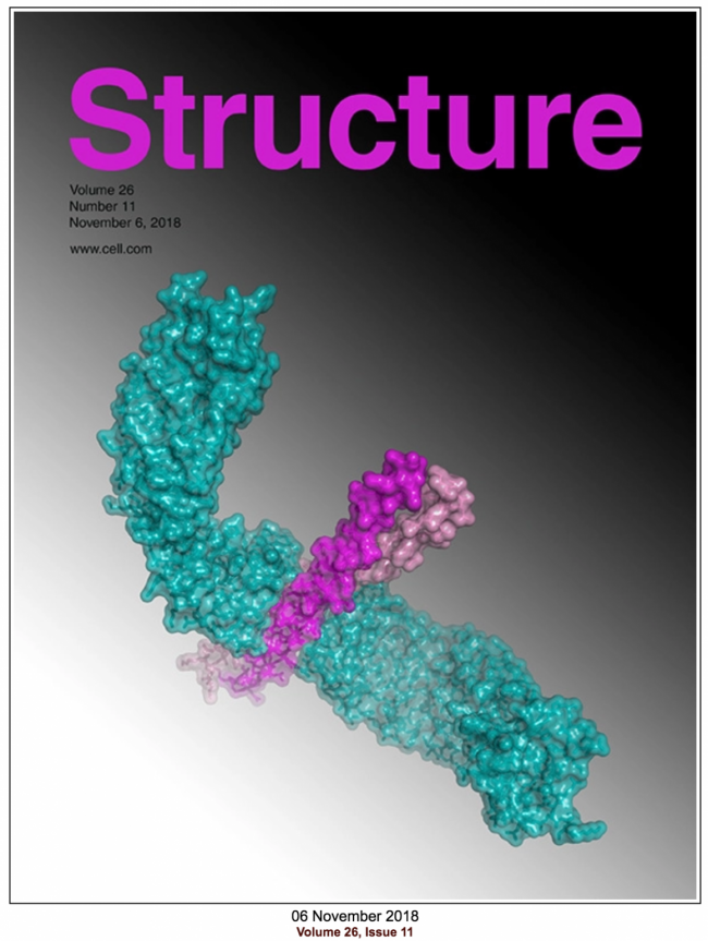 coverStructure