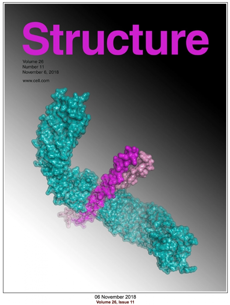 coverStructure
