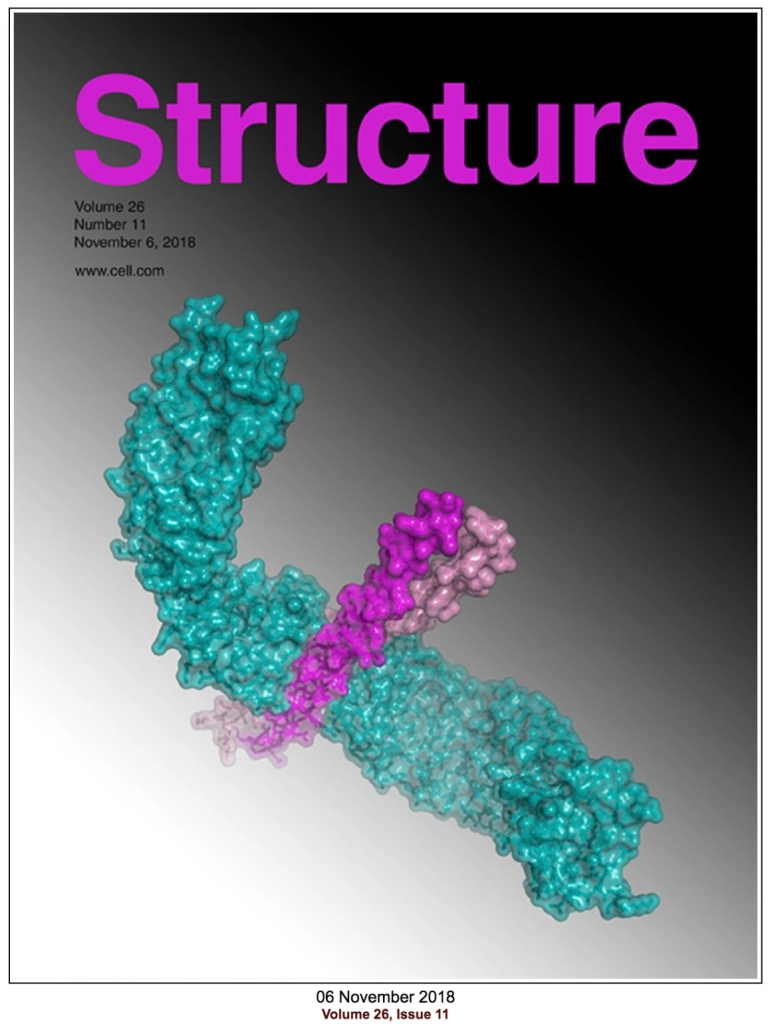 coverStructure