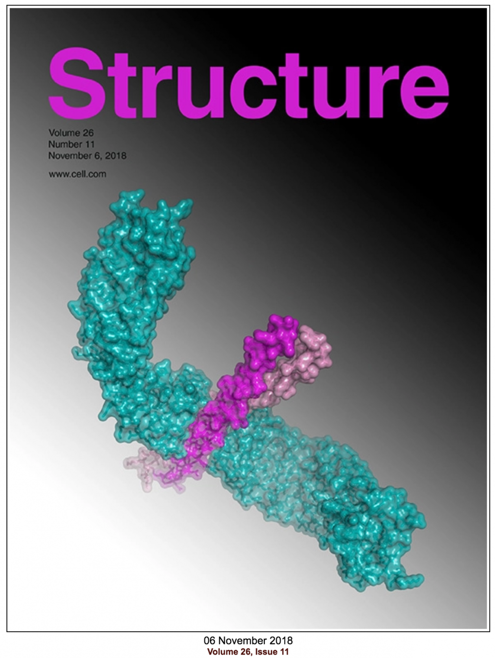 Cover of Structure (Cell Press)
